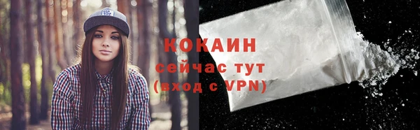 молекула духа Осташков
