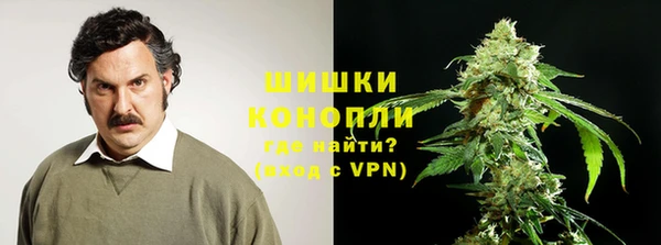 ПСИЛОЦИБИНОВЫЕ ГРИБЫ Абдулино