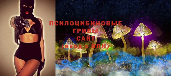 spice Абаза