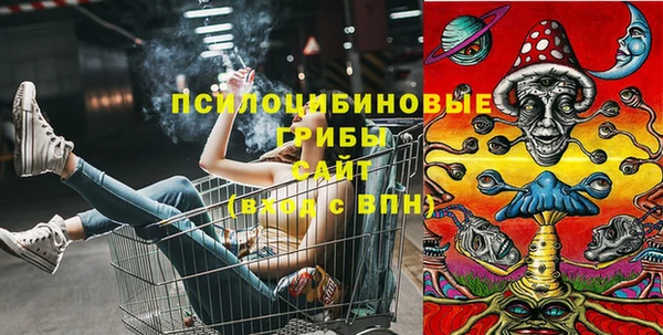 ПСИЛОЦИБИНОВЫЕ ГРИБЫ Абдулино
